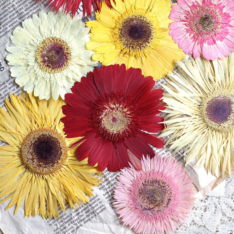 1 pièces/7-9 cm, fleurs séchée - Resin Art Sticker avis et prix