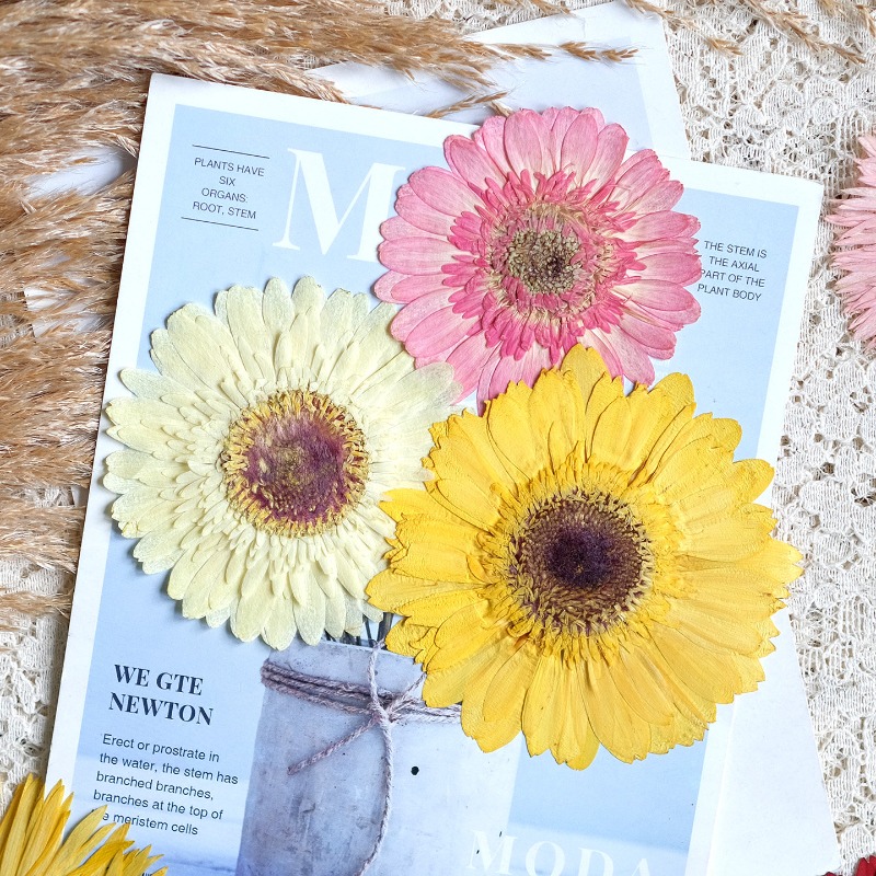 1 pièces/7-9 cm, fleurs séchée - Resin Art Sticker avis et prix