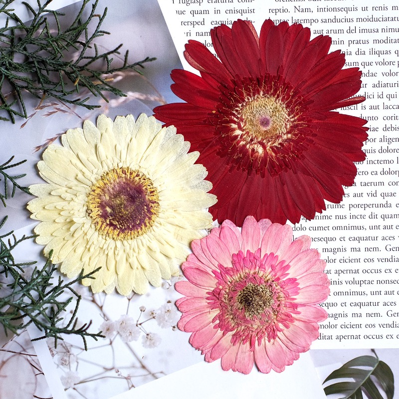 1 pièces/7-9 cm, fleurs séchée - Resin Art Sticker avis et prix