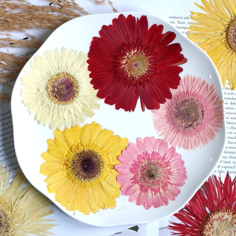 1 pièces/7-9 cm, fleurs séchée - Resin Art Sticker avis et prix